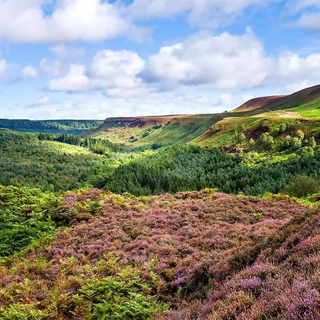 Blacksmiths Dom wakacyjny Gillamoor