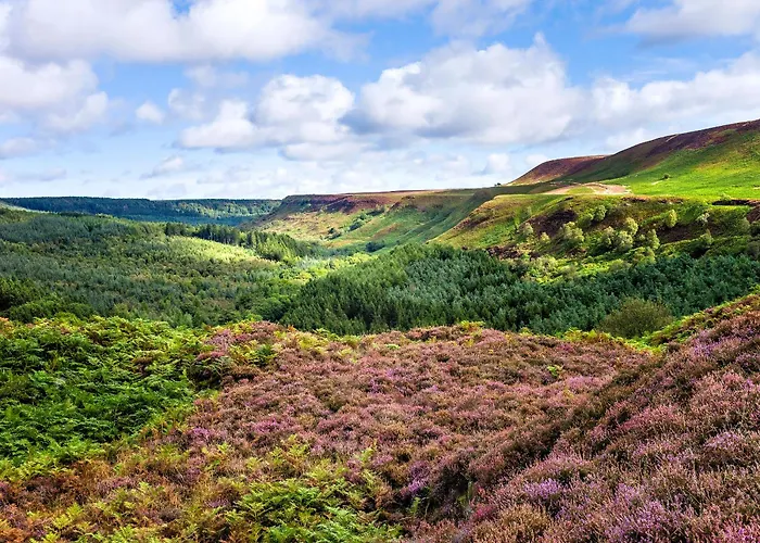 Blacksmiths Nyaraló Gillamoor